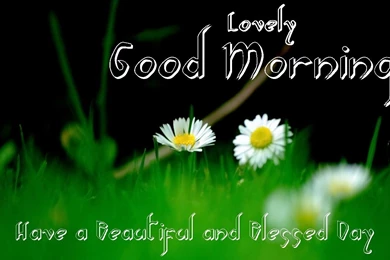 GOOD MORNING IMAGE HD   Good Morning & Good Night