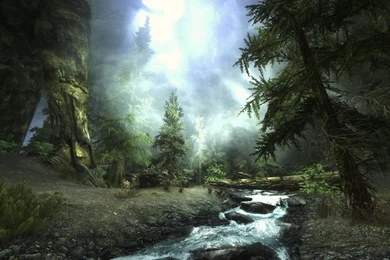 Skyrim Nexus   Mods And Community