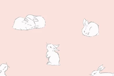 Designer Wallpapers \\ Cavern