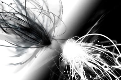 Black white iPad 1 & 2 Wallpapers