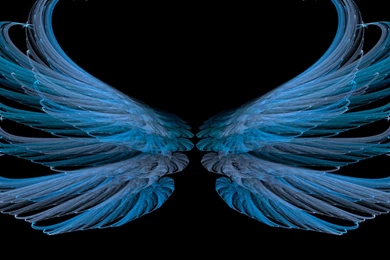 Wallpaper: Wings, Blue, Black, White, Bright, Abstraction Wallpapers