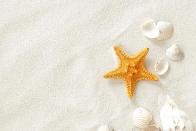 Scenery Ipad Wallpapers   White sand ipad backgrounds Mywalls Hd ...