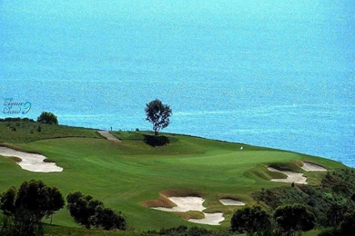 Download Wallpapers Golf Course At The Ocean Beach (1024 X 768 ...