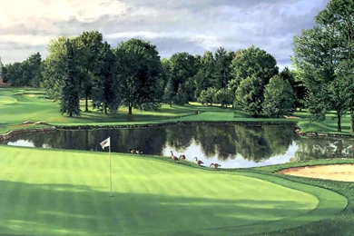 Most Visited Sites  I