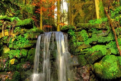 YouWall   Forest Waterfall Wallpapers   Wallpaper,wallpapers,free ...