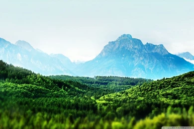 Mountain Forest Tilt Shift HD Desktop Wallpapers : High Definition ...
