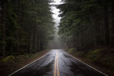 YouWall   Dark Forest Road Wallpapers   Wallpaper,wallpapers,free ...