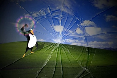 Tux Over Windows Wallpapers Xp Is Broken   1600x1200   418032