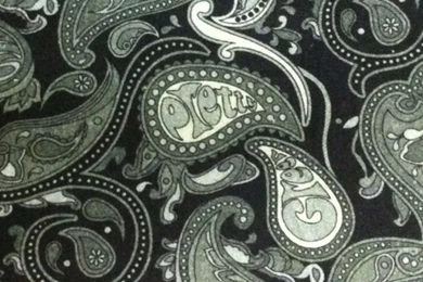 Pretty Green Paisley Print.