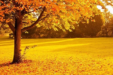 Nature Wallpapers, View, Amazing Landscape, Widescreen, Wallpapers ...