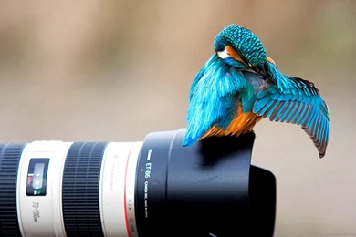 YOU NEVER TAKE A PHOTOGRAPH YOU HAVE TO MAKE IT   CatchTheYe