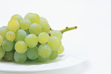 Free Wallpapers   Free Photography Wallpapers   Stock Photographs Of ...