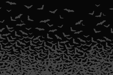 Timoraser: Black Backgrounds Wallpapers