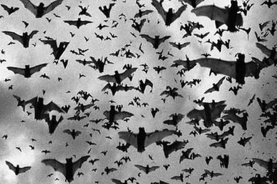 Pin By Danielle B On Art & Iphone Wallpapers