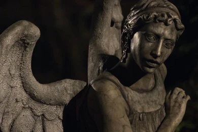 Weeping Angel Wallpapers Free Wallpaper Images