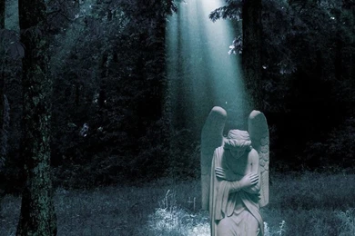 Weeping Angel By Itisme1109 On DeviantArt