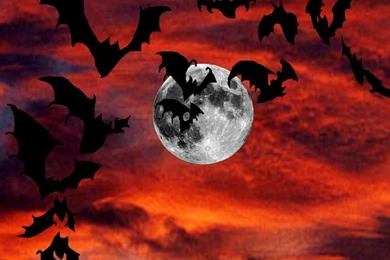 Bat Feast Wallpapers By 66blazingXXsimurgh On DeviantArt