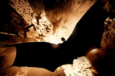 YouWall   Batman And Bats Wallpapers   Wallpaper,wallpapers,free ...