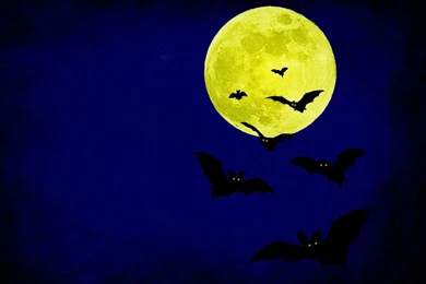 Scary Halloween 2012 HD Wallpapers