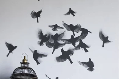 Trove Wallpapers Design