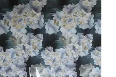 Trove   Alcyone Wallpapers Detail