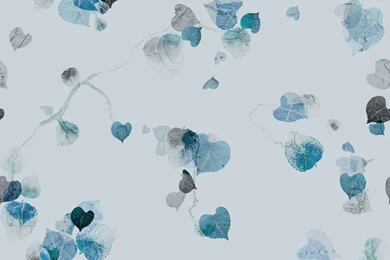 Floral Wallpapers / Linen / Contemporary   VERTERE   Trove