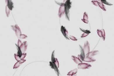 Patterned Wallpapers / Linen / Traditional   ASKELLA   Trove