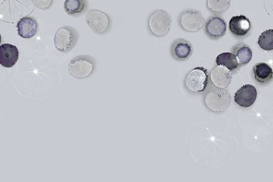 Floral Wallpapers / Linen / Contemporary   ALULA   Trove