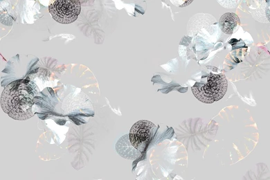 Trove   Suichuka Wallpapers Detail