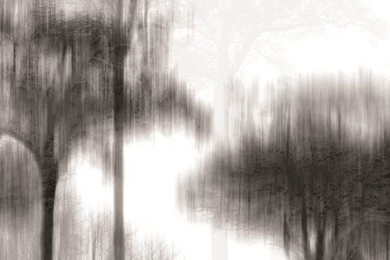 Trove Launches "Wallpaper" Made From Powdered Stone