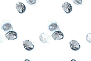 Patterned Wallpapers / Linen / Traditional   URSA   Trove