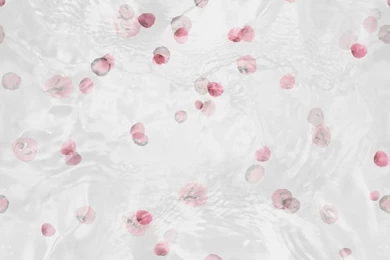 Patterned Wallpapers / Linen / Traditional   ENYO   Trove