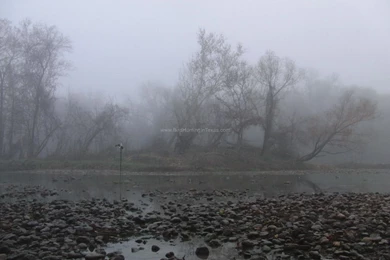 Bird Hunting In Texas Bird Hunting In Texas   Page 4 Of 7   Bird ...