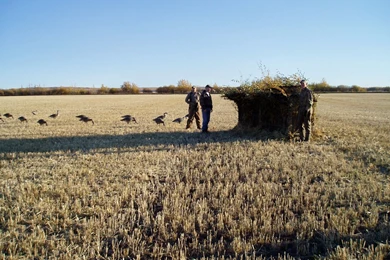 Duck And Goose Hunting Season 2006