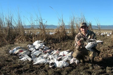 Guided Snow And Speck Goose Hunting In Northern California ...