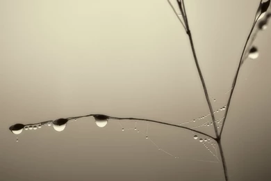 Silence And Stillness HD Desktop Wallpapers : Widescreen : High ...