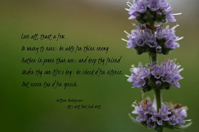 Love All, Trust A Few, Do Wrong To None..., Quote, Quotes, Silence ...