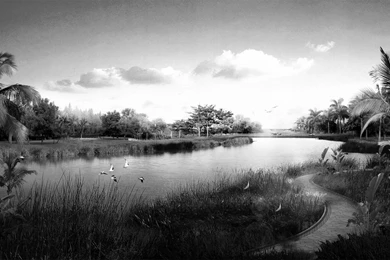 Nature & Landscape Black And White Japan Digital Scenery Wallpapers ...