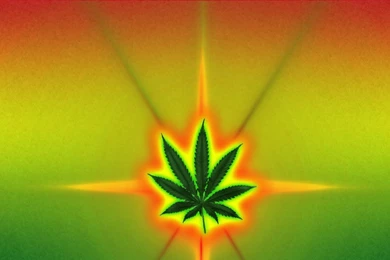 Rasta Weed (id: 197002) – BUZZERG