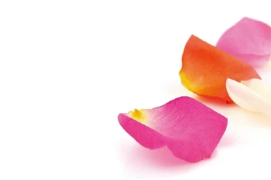 Faydani Beauty Salon, Morpeth