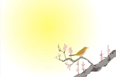 Free Beauty, Face, Girl Backgrounds For PowerPoint   Beauty PPT ...