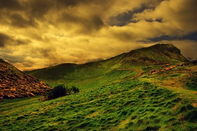 Beauty Of Nature Wallpapers   Desktop Backgrounds