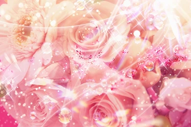 Beauty Backgrounds Wallpapers   132943