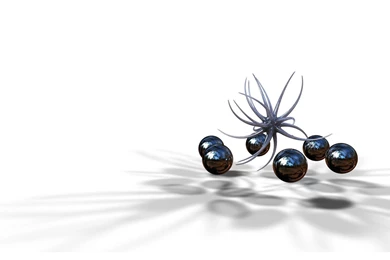 Desktop Wallpapers » 3D Backgrounds » Black Beauty » Www ...
