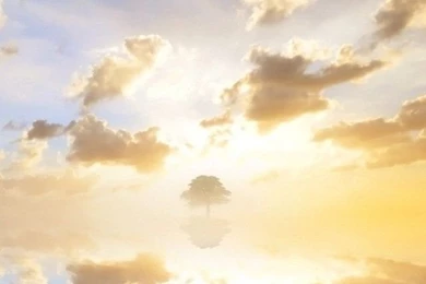 Wallpapers catalogue.com Beautiful Sky In 640x960 Resolution.