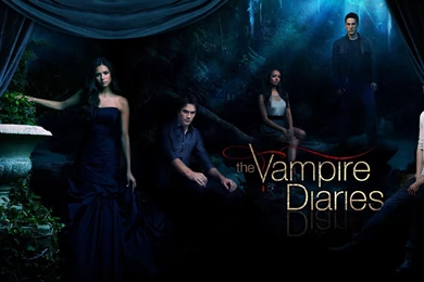 The Vampire Diaries, Elena, Damon, Bonnie, Stefan, Tyler, Tv show ...