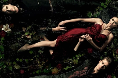 Free Wallpapers   Vampire Diaries Wallpapers