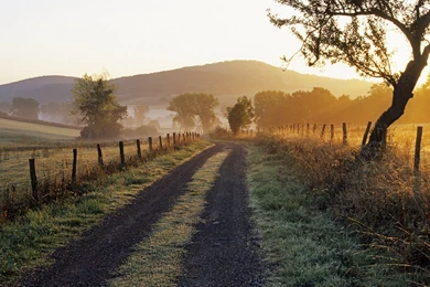 Page 10 Of Comments At Morbid For Parents