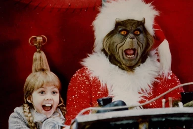 The Grinch   How The Grinch Stole Christmas Wallpapers (33148434 ...