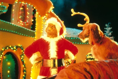 The Grinch   How The Grinch Stole Christmas Wallpapers (33148448 ...